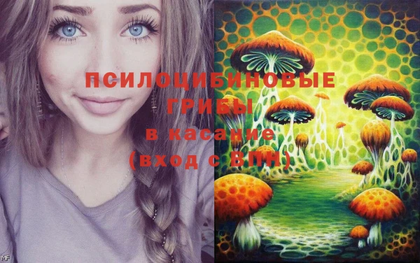 2c-b Алзамай